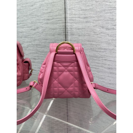 Dior Caro