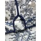 Dior Book Tote