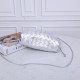 Bottega Veneta Pouch