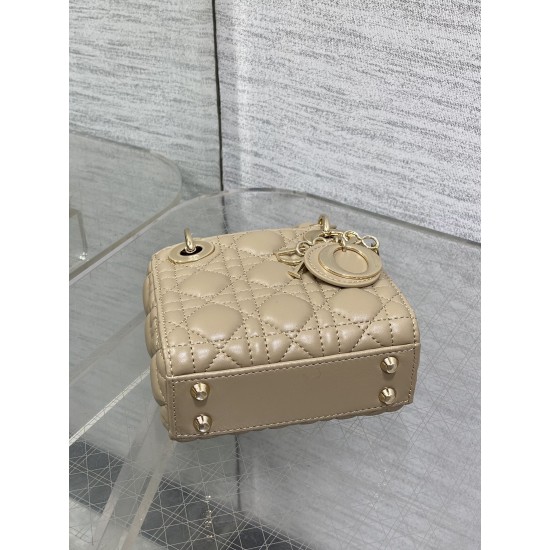 Dior Lady
