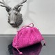Bottega Veneta Pouch