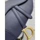 Dior Saddle