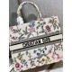 Dior Book Tote