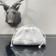 Bottega Veneta Pouch