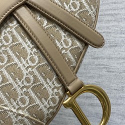 Dior Saddle