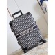 Dior Suitcase