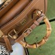 Gucci Diana