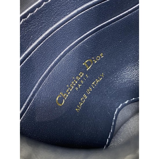 Dior Caro