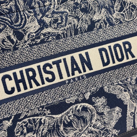 Dior Book Tote