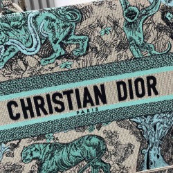 Dior Book Tote