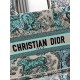 Dior Book Tote