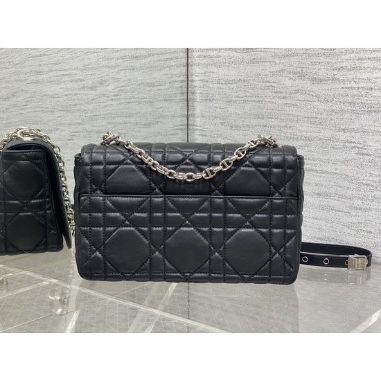 Dior Caro