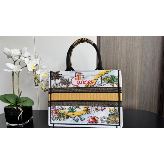 Dior Book Tote