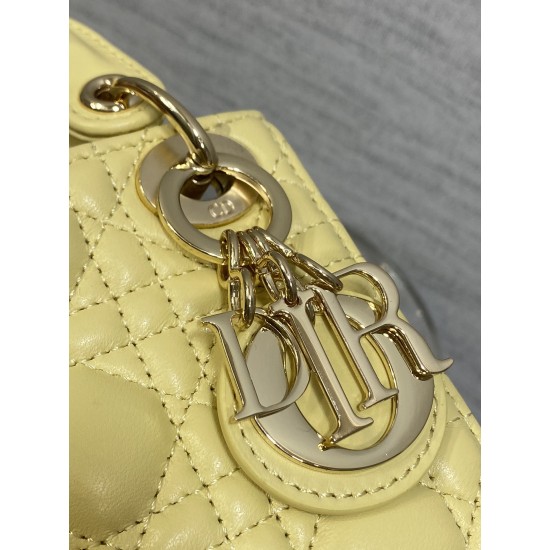 Dior Lady