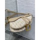 Dior Saddle