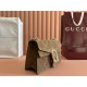 Gucci Dionysus