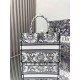 Dior Book Tote