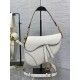Dior Saddle