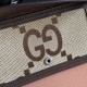 Gucci Dionysus