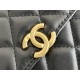 CHANEL COCO HANDLE