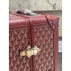 Goyard Suitcase