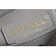 CHANEL COCO HANDLE
