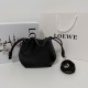 LOEWE bags