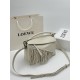 LOEWE bags