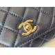 CHANEL COCO HANDLE