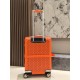 Goyard Suitcase