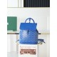 Goyard BAGS