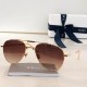 Dior Eyeglasses
