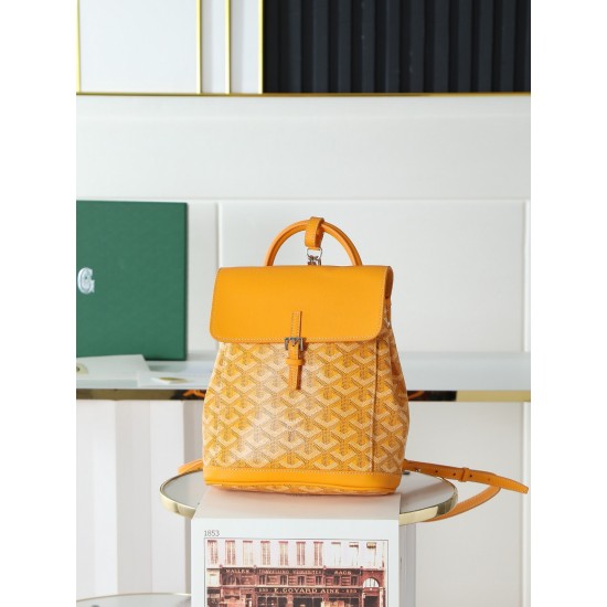 Goyard BAGS