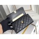 CHANEL COCO HANDLE