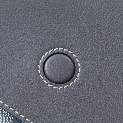 Goyard BAGS