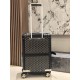 Goyard Suitcase