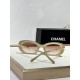 CHANEL Eyeglasses