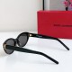 YSL Eyeglasses
