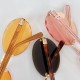MiuMiu Eyeglasses