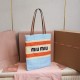 MiuMiu BAGS