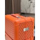Goyard Suitcase