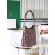 Goyard BAGS