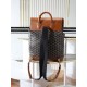 Goyard BAGS