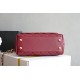 CHANEL COCO HANDLE