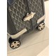 Goyard Suitcase