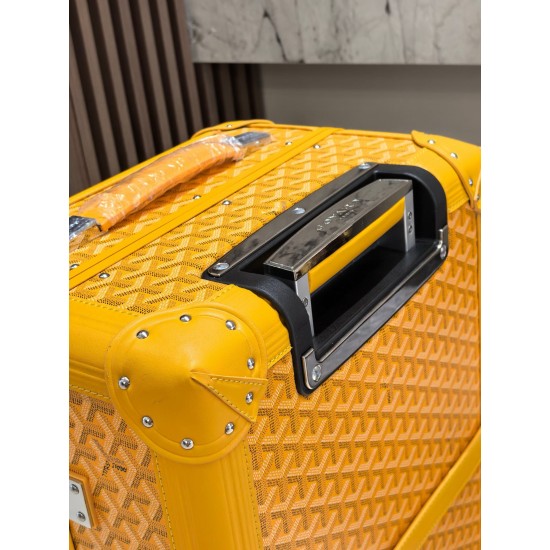 Goyard Suitcase