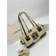 LOEWE bags