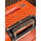 Goyard Suitcase