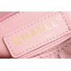 CHANEL COCO HANDLE