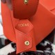 LOEWE bags